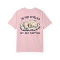 T-Shirt — "Do not disturb" Dachshund Graphic Tee