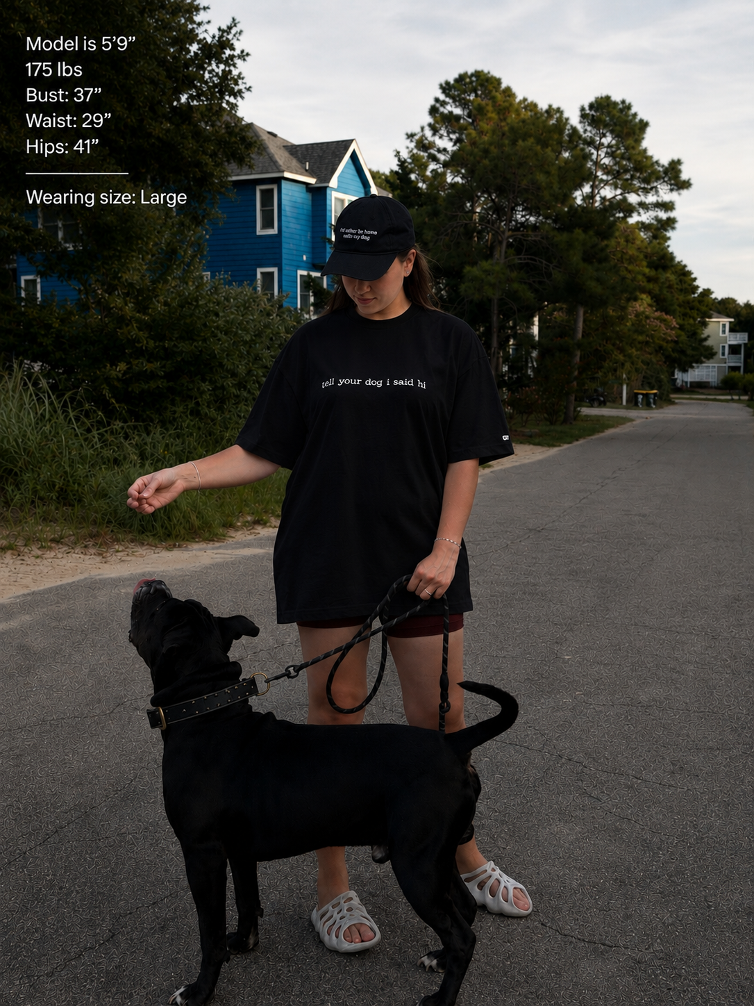 "tell your dog I said hi” dark box tee