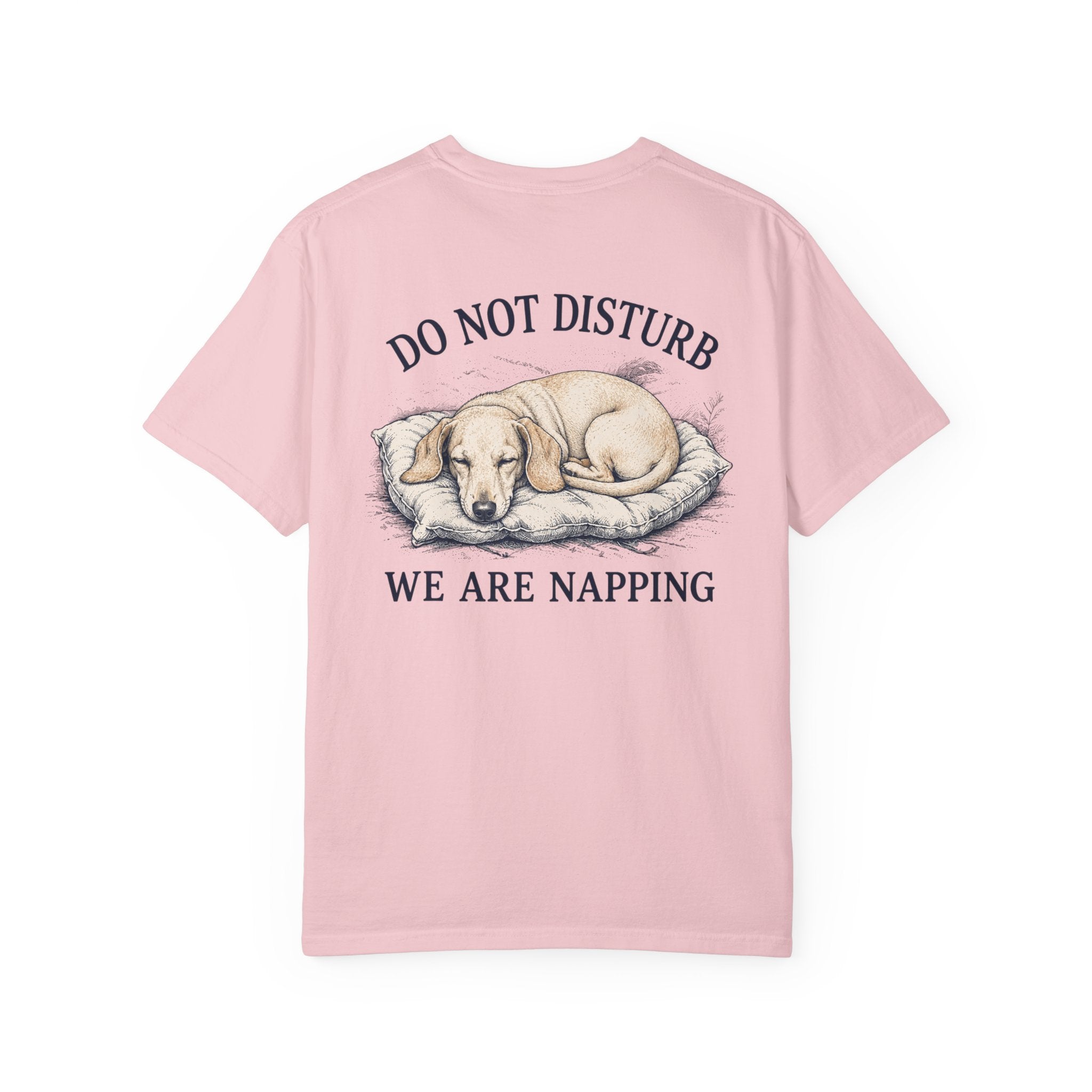 Do not disturb – Cream Dachshuns