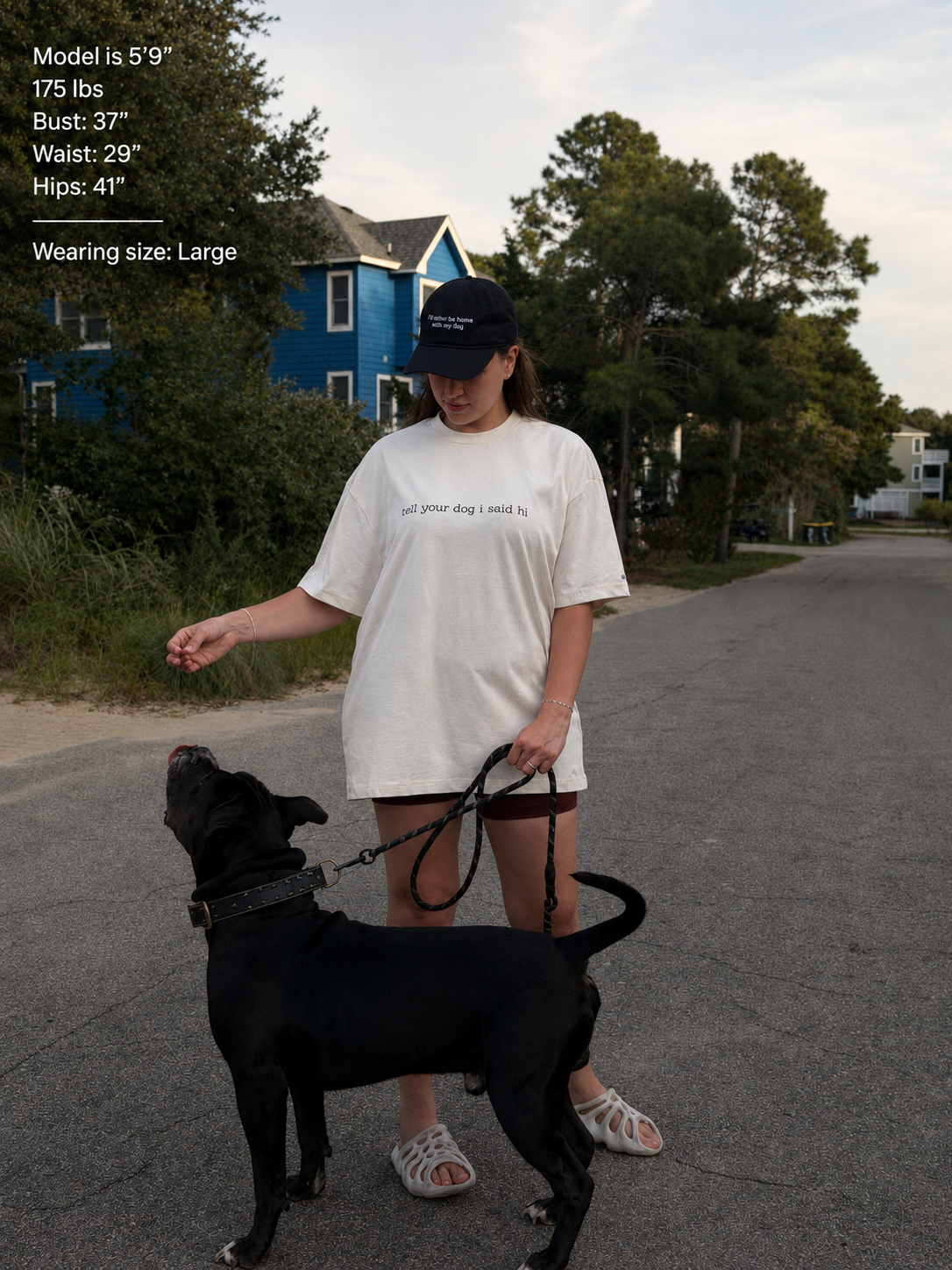 "tell your dog I said hi” light box tee